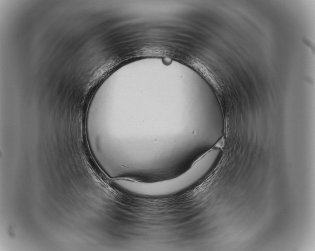 X0000096420349200802141639