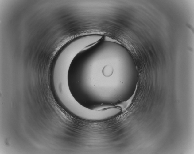 X0000096420350200802141639