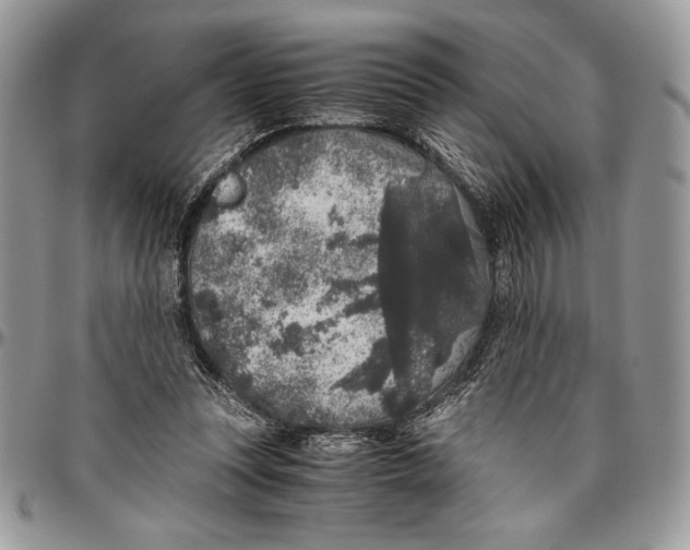 X0000096420351200802141639