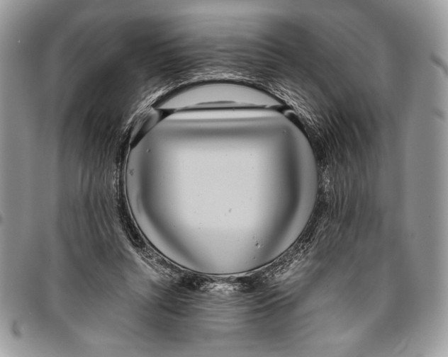 X0000096420352200802141639