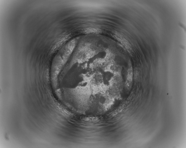 X0000096420353200802141639