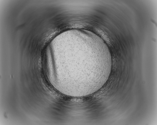 X0000096420354200802141639