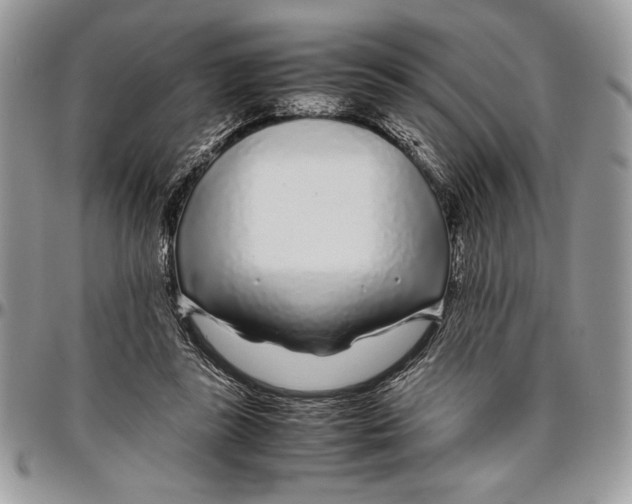 X0000096420355200802141639