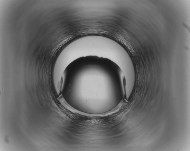 X0000096420356200802141639