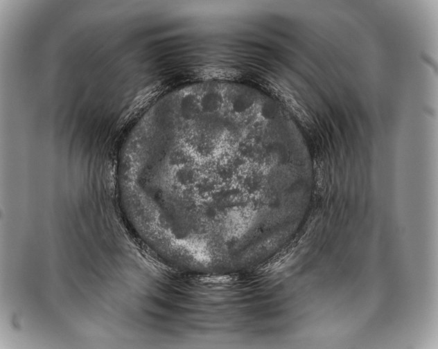 X0000096420357200802141639