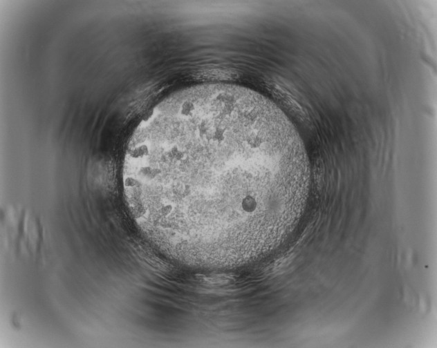 X0000096420359200802141639