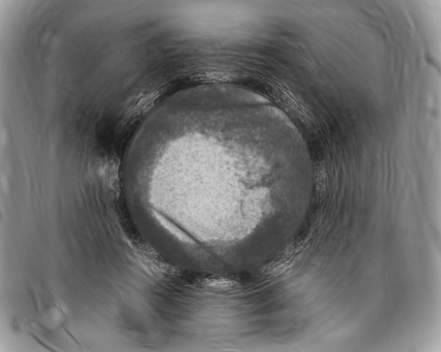 X0000096420360200802141639