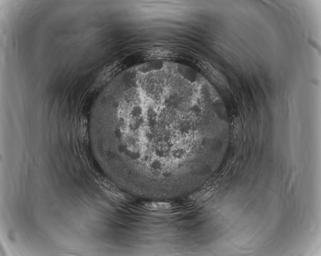 X0000096420361200802141639