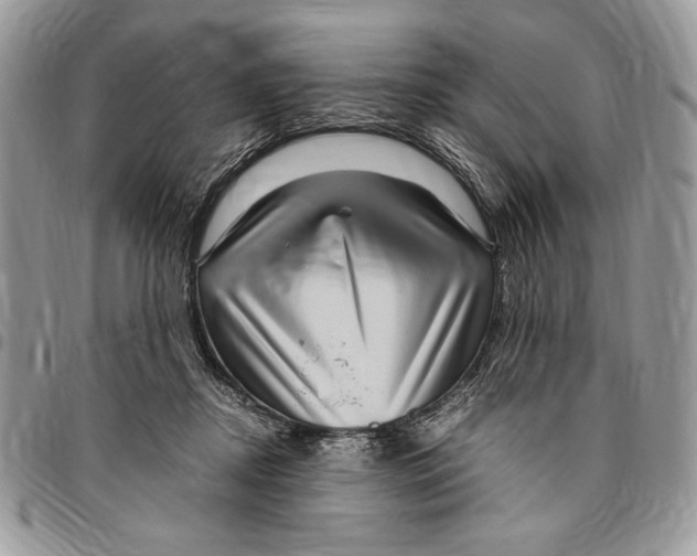 X0000096420362200802141639