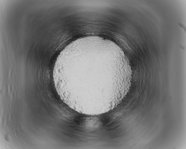 X0000096420363200802141639