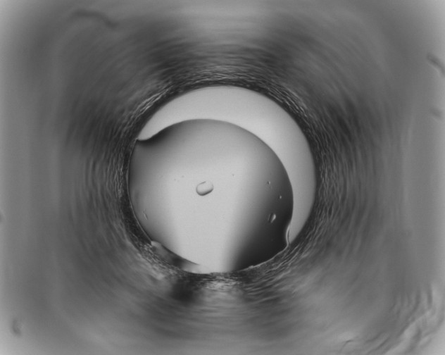 X0000096420364200802141639