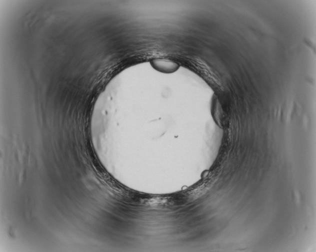 X0000096420366200802141640