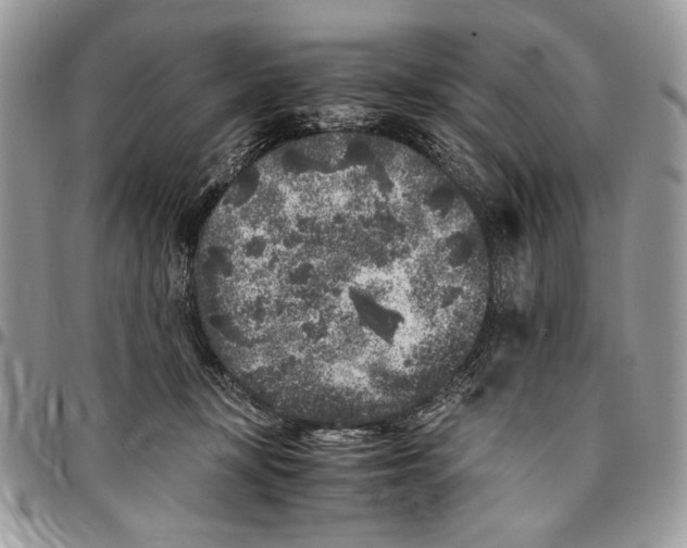 X0000096420367200802141640