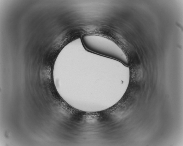 X0000096420368200802141640