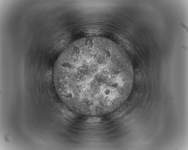 X0000096420369200802141640