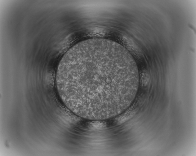 X0000096420370200802141640