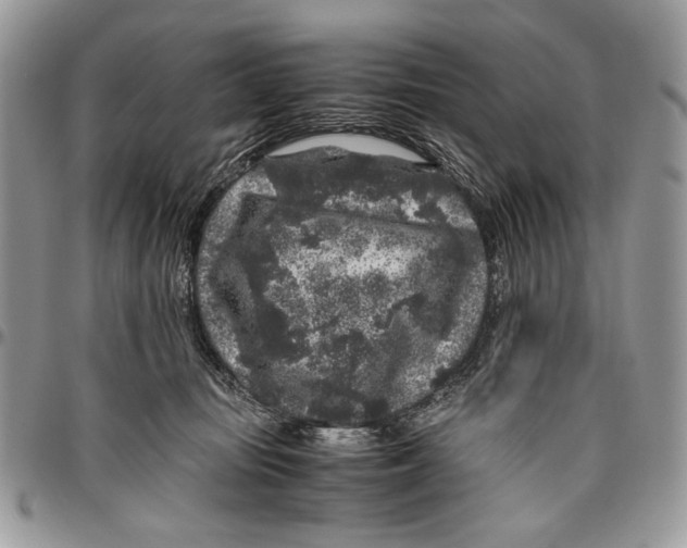 X0000096420371200802141640