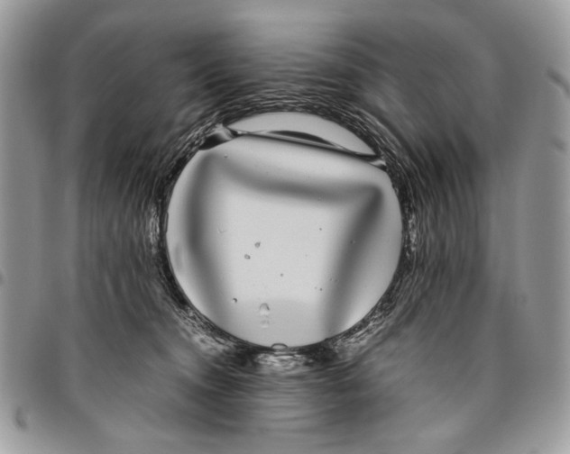 X0000096420372200802141640