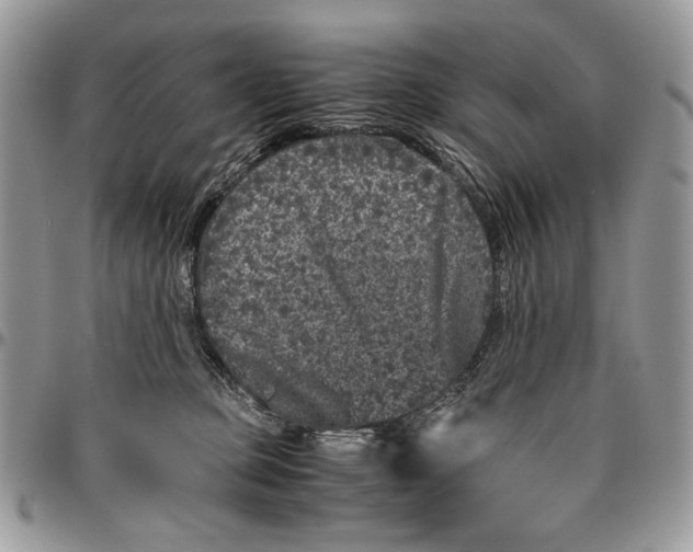 X0000096420373200802141640