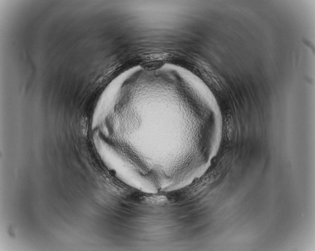 X0000096420374200802141640