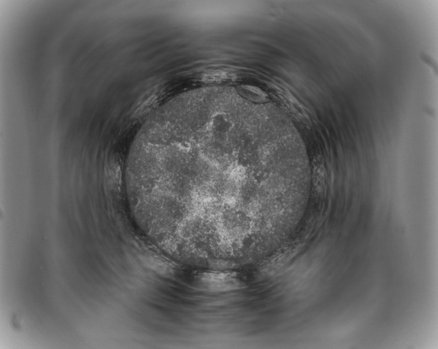 X0000096420375200802141640