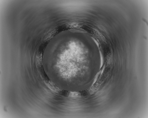 X0000096420376200802141640