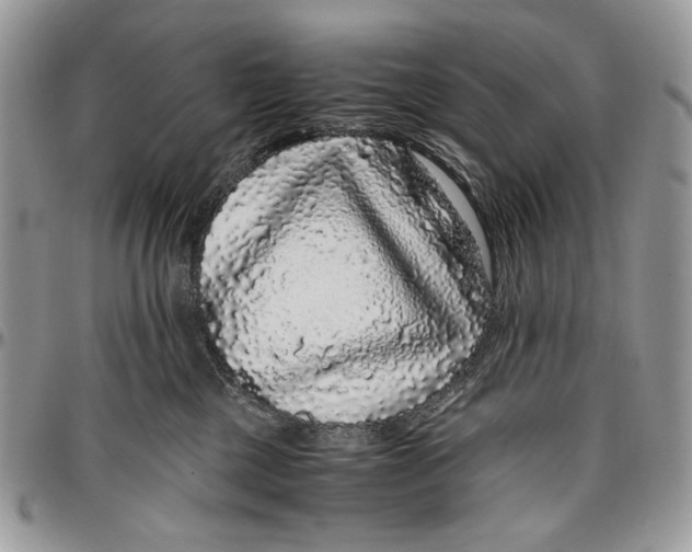 X0000096420377200802141640