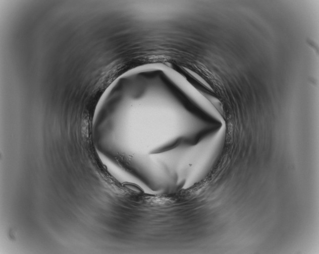 X0000096420379200802141640