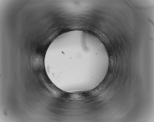 X0000096420380200802141640