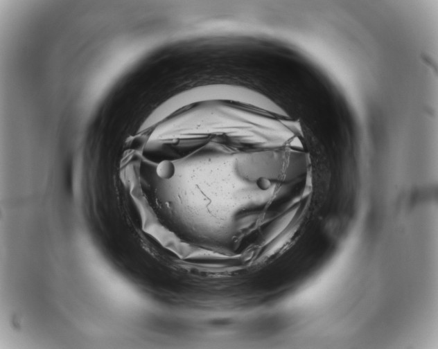 X0000096420382200802141640