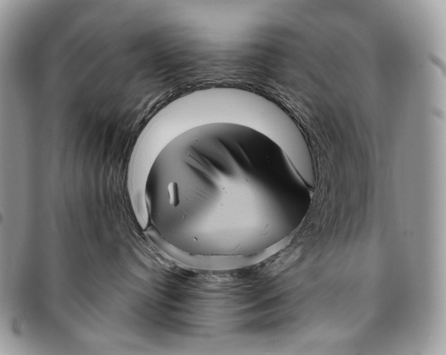 X0000096420384200802141640