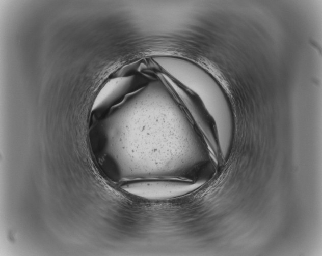 X0000096420385200802141639