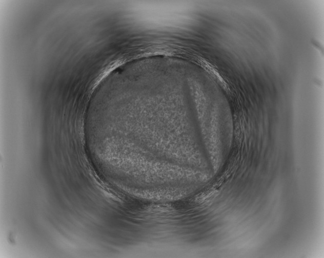 X0000096420386200802141639