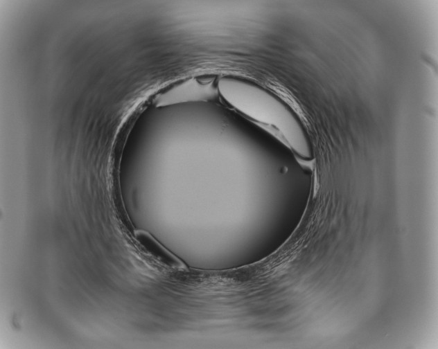 X0000096420387200802141639