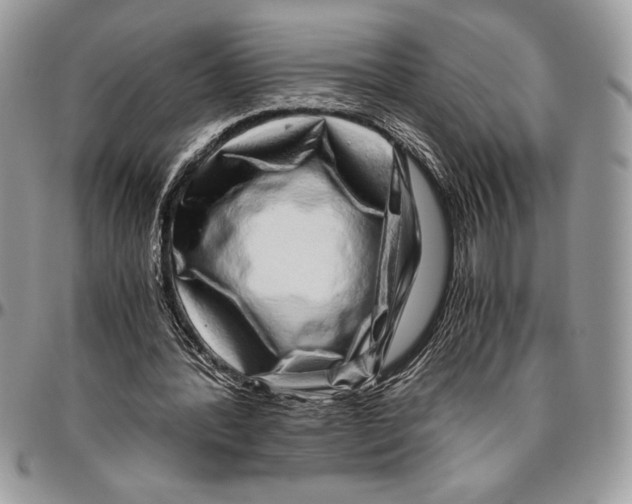 X0000096420388200802141639