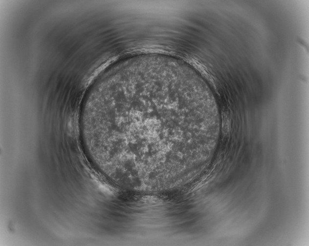 X0000096420390200802141639