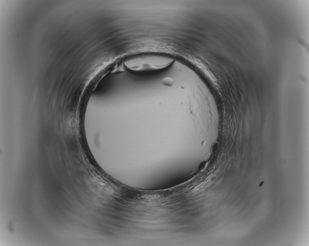 X0000096420391200802141639