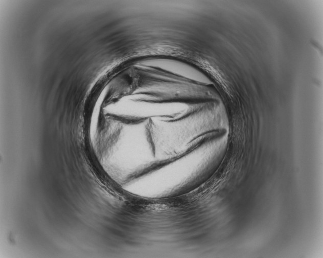 X0000096420392200802141639