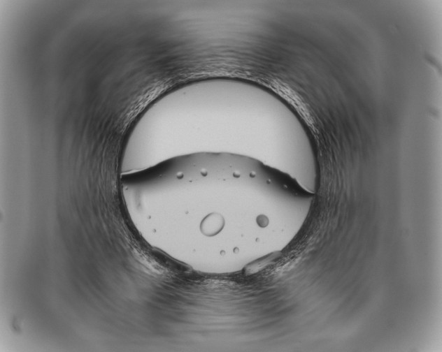 X0000096420393200802141639