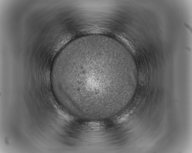 X0000096420394200802141639