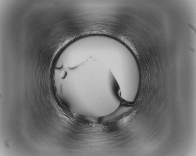 X0000096420395200802141639