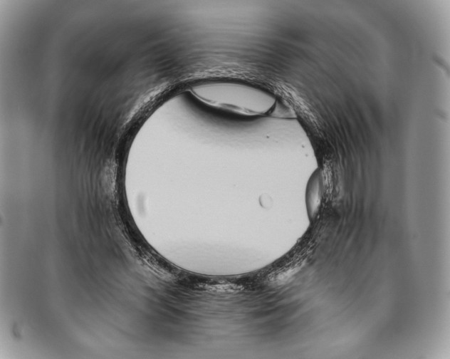 X0000096420396200802141639