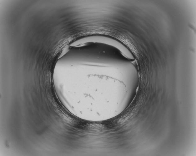 X0000096420397200802141639