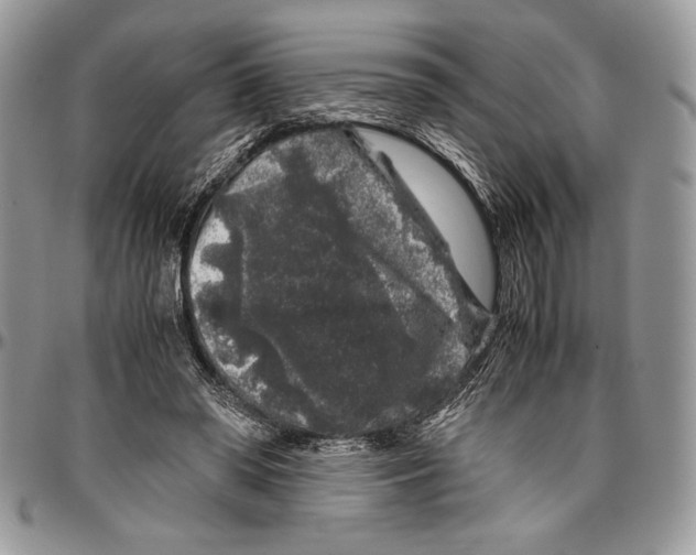 X0000096420398200802141639