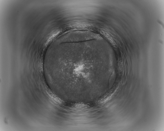 X0000096420399200802141639