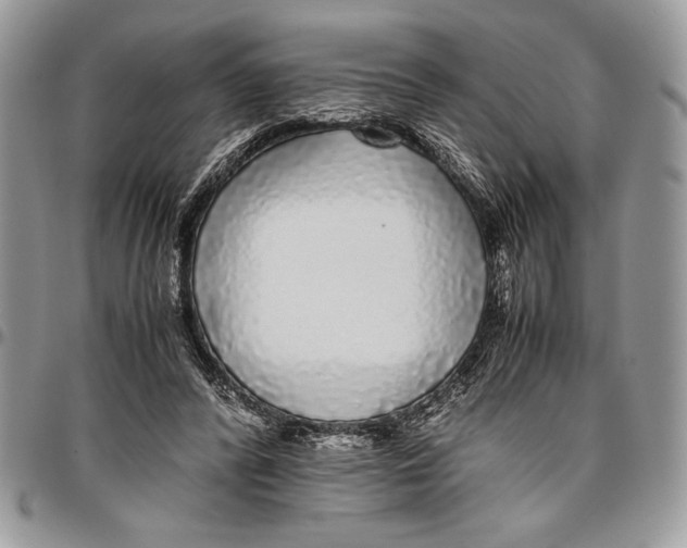 X0000096420400200802141639