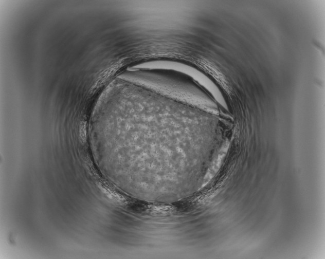 X0000096420401200802141639