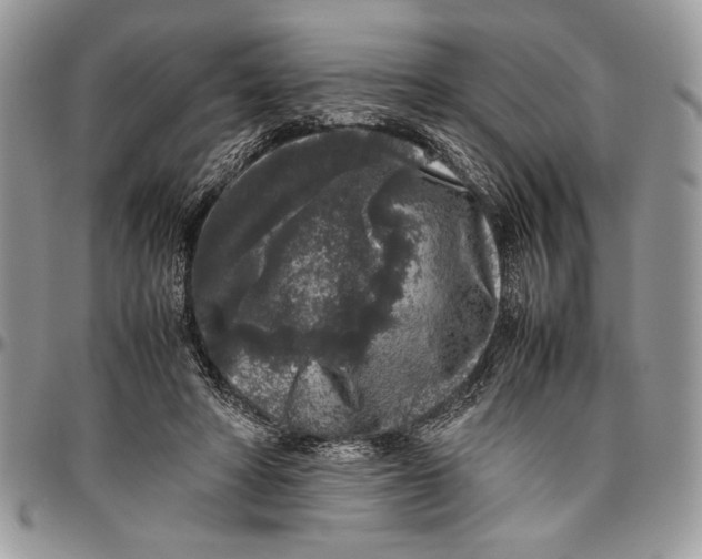 X0000096420402200802141639