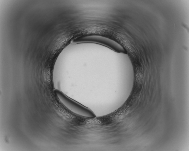 X0000096420403200802141639