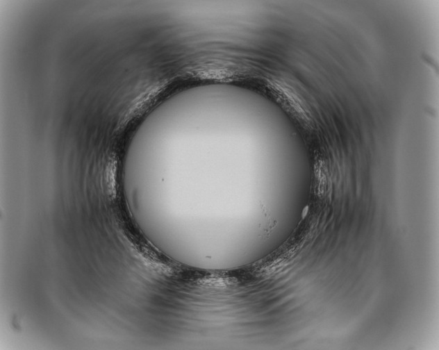 X0000096420404200802141639